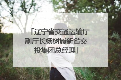 辽宁省交通运输厅副厅长杨树履新省交投集团总经理