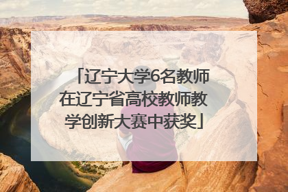 辽宁大学6名教师在辽宁省高校教师教学创新大赛中获奖