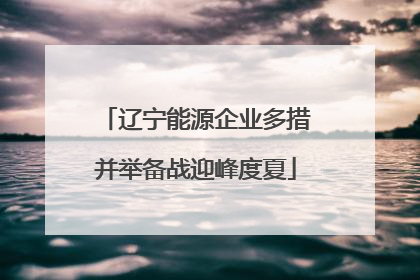 辽宁能源企业多措并举备战迎峰度夏