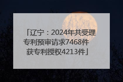 辽宁：2024年共受理专利预审请求7468件 获专利授权4213件