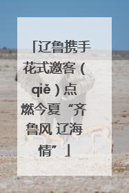 辽鲁携手花式邀客（qiě）点燃今夏“齐鲁风 辽海情”