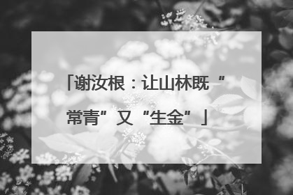 谢汝根：让山林既“常青”又“生金”