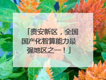 贵安新区，全国国产化智算能力最强地区之一！