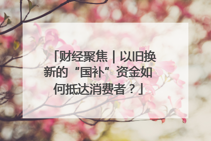 财经聚焦｜以旧换新的“国补”资金如何抵达消费者？