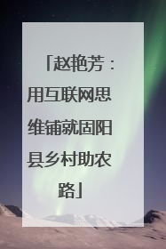 赵艳芳：用互联网思维铺就固阳县乡村助农路