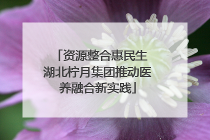 资源整合惠民生 湖北柠月集团推动医养融合新实践