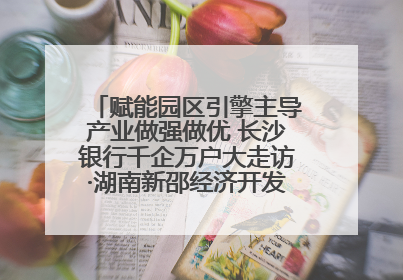 赋能园区引擎主导产业做强做优 长沙银行千企万户大走访·湖南新邵经济开发区专场活动举行