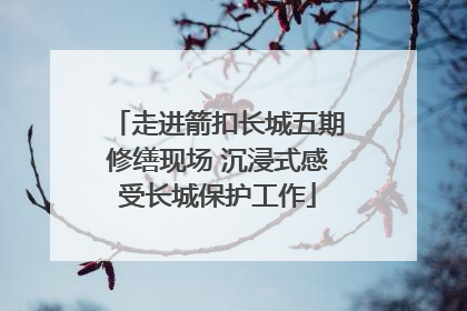 走进箭扣长城五期修缮现场 沉浸式感受长城保护工作