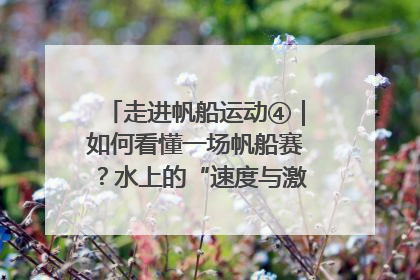 走进帆船运动④｜如何看懂一场帆船赛？水上的“速度与激情”同样精彩