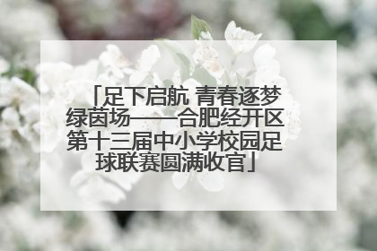 足下启航 青春逐梦绿茵场——合肥经开区第十三届中小学校园足球联赛圆满收官