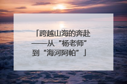 跨越山海的奔赴——从“杨老师”到“海河阿帕”