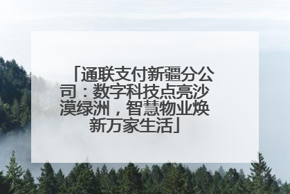 通联支付新疆分公司：数字科技点亮沙漠绿洲，智慧物业焕新万家生活