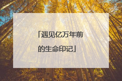 遇见亿万年前的生命印记