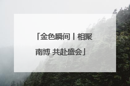金色瞬间丨相聚南博 共赴盛会