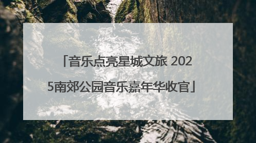 音乐点亮星城文旅 2025南郊公园音乐嘉年华收官