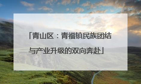 青山区：青福镇民族团结与产业升级的双向奔赴