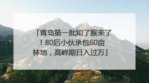青岛第一批知了猴来了！80后小伙承包60亩林地，高峰期日入过万
