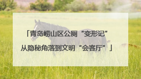 青岛崂山区公厕“变形记” 从隐秘角落到文明“会客厅”