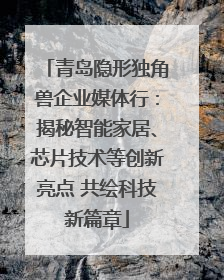 青岛隐形独角兽企业媒体行：揭秘智能家居、芯片技术等创新亮点 共绘科技新篇章