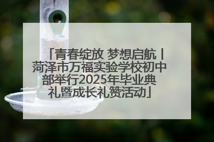 青春绽放 梦想启航丨菏泽市万福实验学校初中部举行2025年毕业典礼暨成长礼赞活动