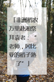 非洲稻农万里赴湘祭拜袁老：“老师，冈比亚的稻子熟了”