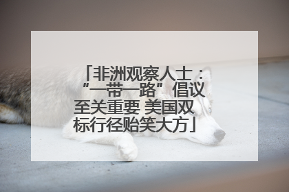 非洲观察人士：“一带一路”倡议至关重要 美国双标行径贻笑大方