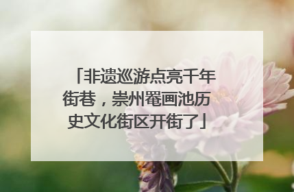 非遗巡游点亮千年街巷，崇州罨画池历史文化街区开街了