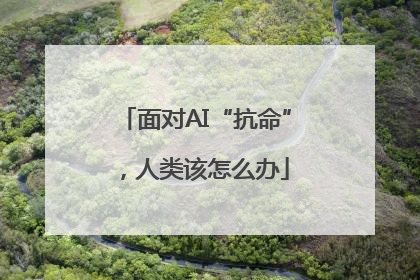 面对AI“抗命”，人类该怎么办