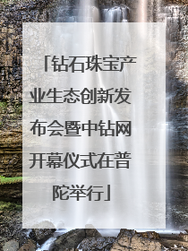 钻石珠宝产业生态创新发布会暨中钻网开幕仪式在普陀举行