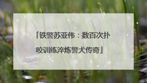 铁警苏亚伟：数百次扑咬训练淬炼警犬传奇