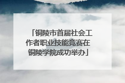 铜陵市首届社会工作者职业技能竞赛在铜陵学院成功举办