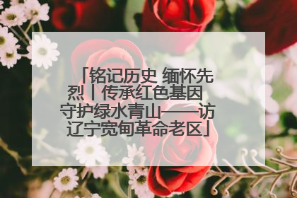铭记历史 缅怀先烈丨传承红色基因 守护绿水青山——访辽宁宽甸革命老区