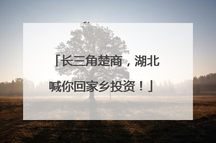 长三角楚商，湖北喊你回家乡投资！