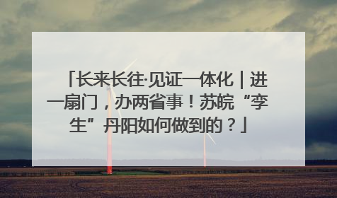 长来长往·见证一体化｜进一扇门，办两省事！苏皖“孪生”丹阳如何做到的？