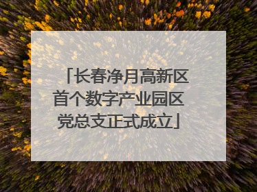 长春净月高新区首个数字产业园区党总支正式成立
