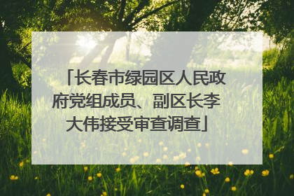长春市绿园区人民政府党组成员、副区长李大伟接受审查调查