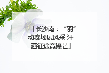 长沙南：“羽”动赛场展风采 汗洒征途竞锋芒