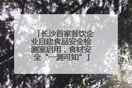 长沙首家餐饮企业自建食品安全检测室启用，食材安全“一测可知”