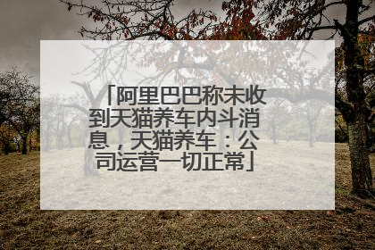 阿里巴巴称未收到天猫养车内斗消息，天猫养车：公司运营一切正常
