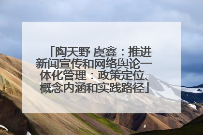 陶天野 虞鑫：推进新闻宣传和网络舆论一体化管理：政策定位、概念内涵和实践路径