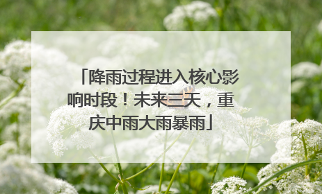 降雨过程进入核心影响时段！未来三天，重庆中雨大雨暴雨