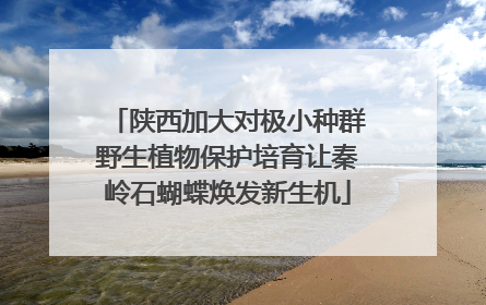 陕西加大对极小种群野生植物保护培育让秦岭石蝴蝶焕发新生机