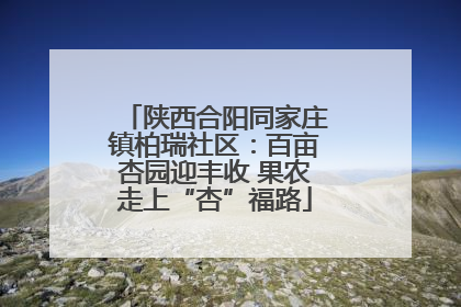 陕西合阳同家庄镇柏瑞社区：百亩杏园迎丰收 果农走上“杏”福路