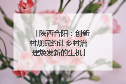 陕西合阳：创新村规民约让乡村治理焕发新的生机