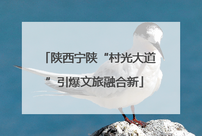 陕西宁陕“村光大道”引爆文旅融合新