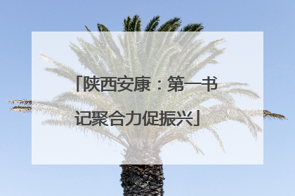 陕西安康：第一书记聚合力促振兴