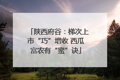 陕西府谷：梯次上市“巧”增收 西瓜富农有“蜜”诀