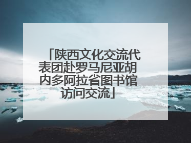 陕西文化交流代表团赴罗马尼亚胡内多阿拉省图书馆访问交流