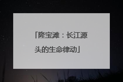 隆宝滩：长江源头的生命律动