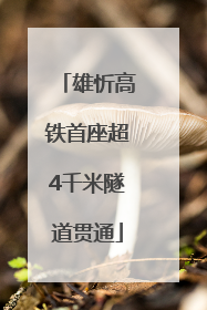 雄忻高铁首座超4千米隧道贯通